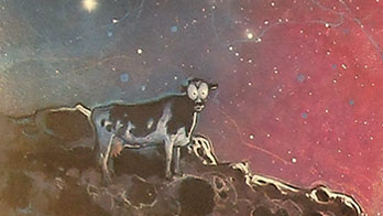 Mike Koelsch